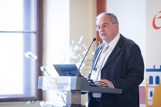Heinz W. Engl, Rektor