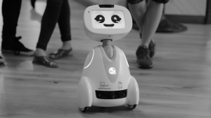 Photo 1: The robot BUDDY, developed by Blue Frog Robotics, is designed to improve the everyday life of people. Source: https://upload.wikimedia.org/wikipedia/commons/6/6e/Buddy-robot.jpg