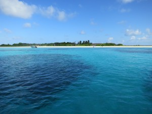 Wunderschön und artenreich: die kleine Insel Vavvaru im Lhaviyani Atoll (nördliche Malediven) besticht nicht nur durch weißen Sand und klares Wasser, sondern ist auch biologisch sehr interessant. Foto: Julia Türtscher.