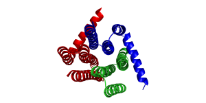 Kristallstruktur der E. coli Diacylglycerinkinase (PDB entry 3ZE4)