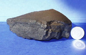 Die Tiefseemangankruste 237KD aus 4830 m Tiefe des pazifischen Ozeans. In einer Schicht von 6-8 mm unter der Oberfläche der Kruste (entspricht einem Zeitbereich von etwa 2-3 Millionen Jahren) wurden hier Spuren naher Sternexplosionen nachgewiesen (Foto: Thomas Faestermann).