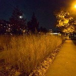 Rudolf-Bednar-Park bei Nacht