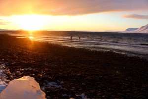 Die zurückgekehrte Sonne kann einen schon mal auf verrückte Ideen bringen! Eine ganz besondere Mutprobe: schwimmen im Nordpolarmeer.