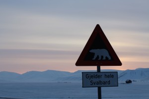 Eisbärengefahr sobald man die Siedlung verlässt.