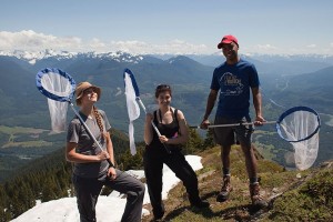 Cascades_Butterfly_Project_Team_(8273990532)