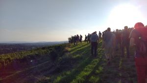 Kahlenbergwanderung Data Science Summer School