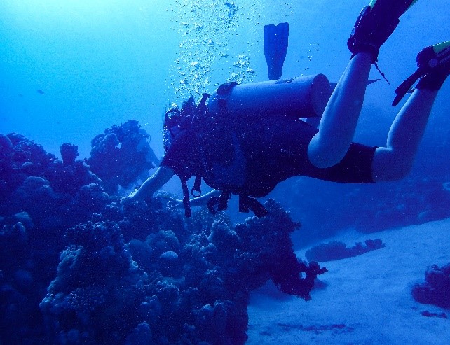 Foto von einer Taucherin mit Korallen
