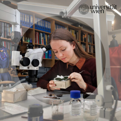 Human Kayleigh sitting on a desk with a microscope, she holds some ancient accesories in her hand and looks at them closely. Books and ancient textiles in the background. On the right upper corner: 'universität wien'